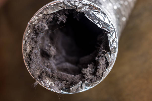 Best Local Air Duct Cleaning Services  in Brilliant, AL