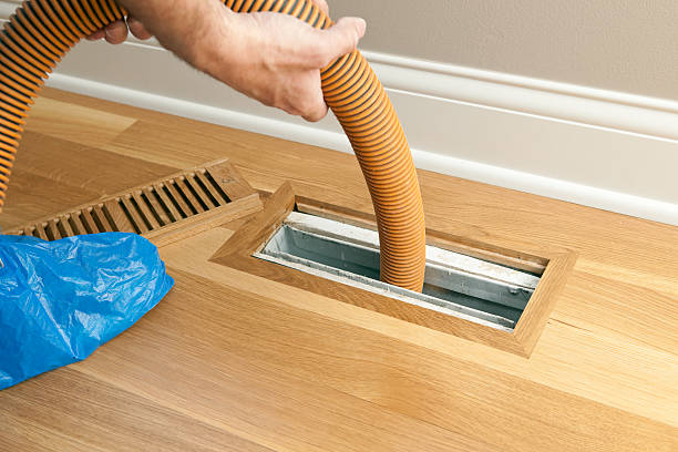 Best Air Duct Sanitizing Services  in Brilliant, AL