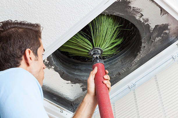 Best Affordable Duct Cleaning Services  in Brilliant, AL