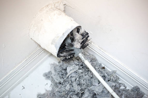 Best Ventilation Cleaning Services  in Brilliant, AL